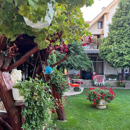 Casa Mona Villa Oradea Buitenkant foto