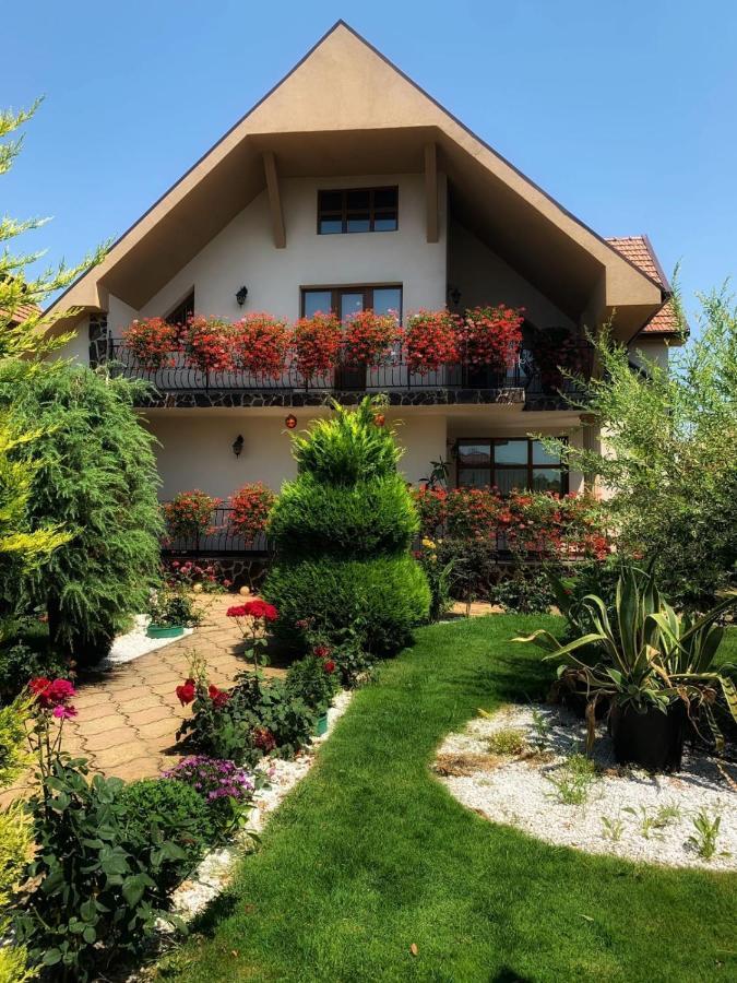 Casa Mona Villa Oradea Buitenkant foto