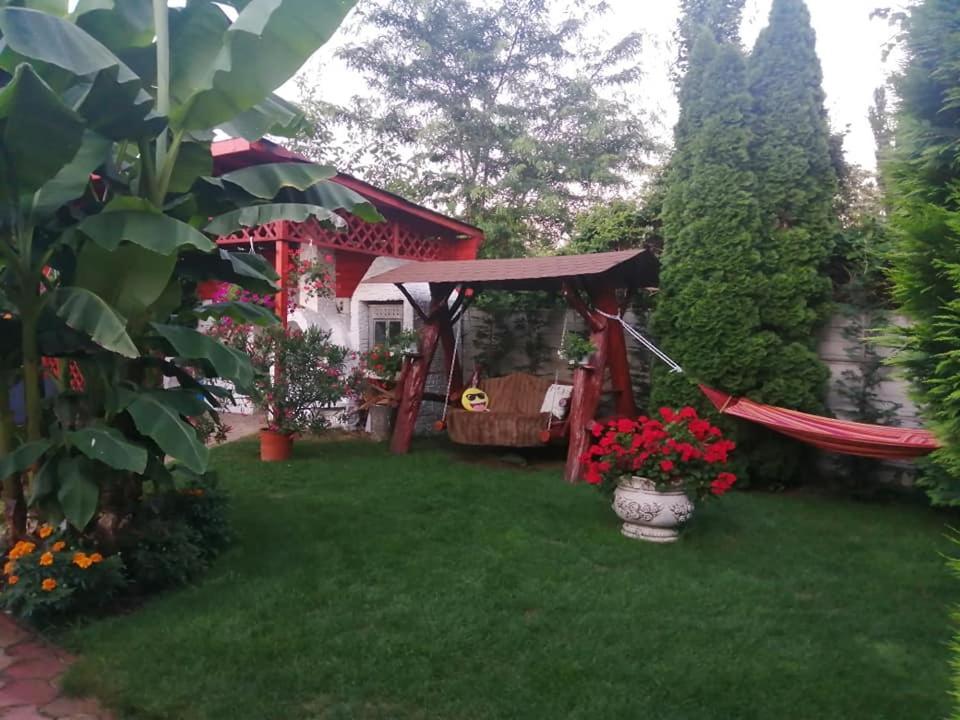 Casa Mona Villa Oradea Buitenkant foto