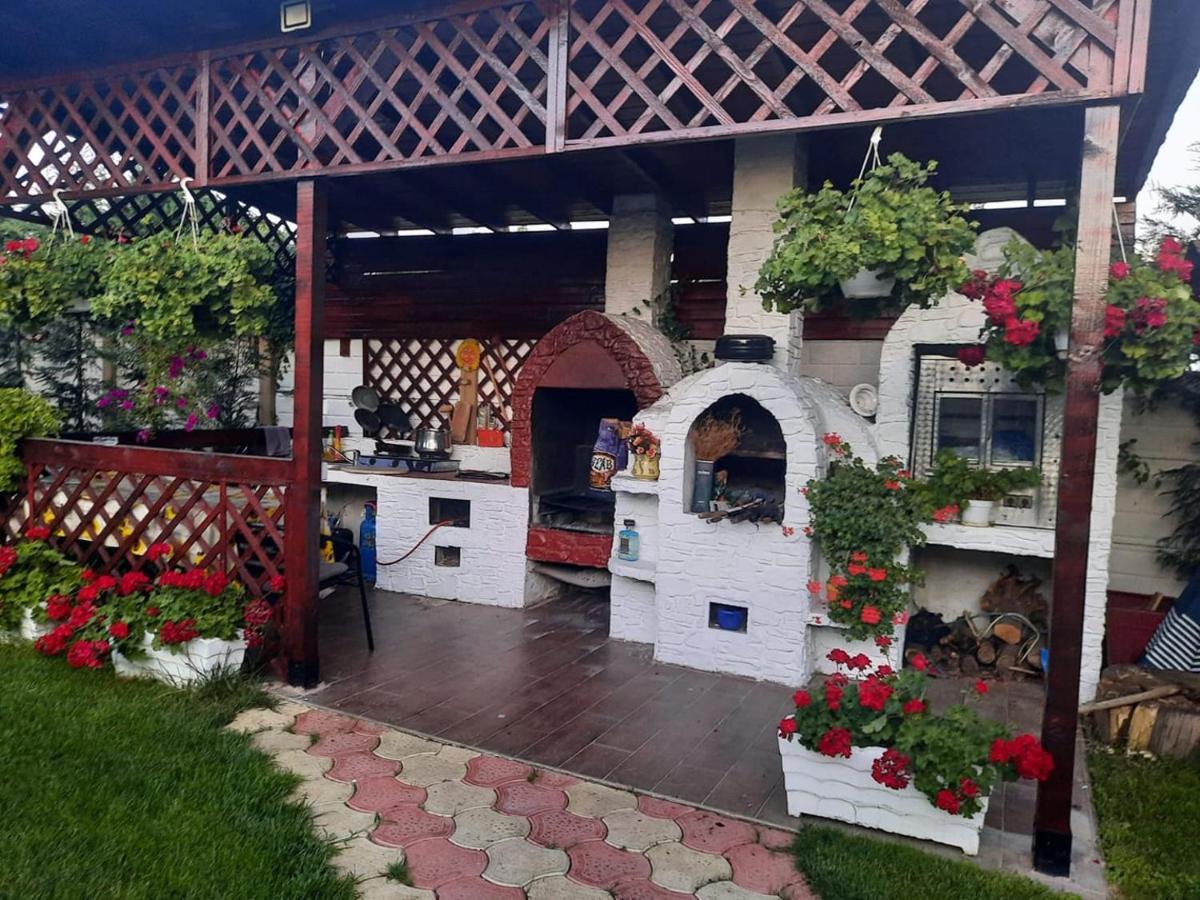 Casa Mona Villa Oradea Buitenkant foto