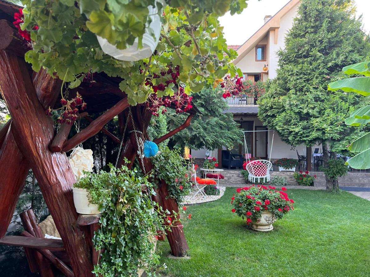 Casa Mona Villa Oradea Buitenkant foto